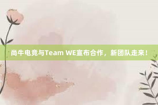 尚牛电竞与Team WE宣布合作，新团队走来！